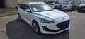 Ford Focus Traveller Vignale 2,0 Eco Blue Weiß - thumbnail 2