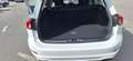 Ford Focus Traveller Vignale 2,0 Eco Blue Weiß - thumbnail 13