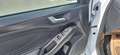 Ford Focus Traveller Vignale 2,0 Eco Blue Weiß - thumbnail 5