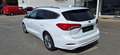 Ford Focus Traveller Vignale 2,0 Eco Blue Weiß - thumbnail 4
