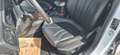 Ford Focus Traveller Vignale 2,0 Eco Blue Weiß - thumbnail 7