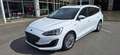 Ford Focus Traveller Vignale 2,0 Eco Blue Weiß - thumbnail 1