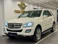 Mercedes-Benz ML 350 CDI 4Matic Ahk/Standheizung/Airmatic/GSHD Weiß - thumbnail 1