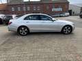 Mercedes-Benz E 220 d 9G Tronic Avantgarde LED NAVI KAMERA 1HD Silber - thumbnail 4