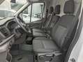 Ford Transit 2T Trend 350 L4H3 2.0TDCI 130pk Blanc - thumbnail 15