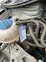 SEAT Ibiza - thumbnail 17
