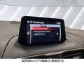 Mazda 3 SKY-G 120PS Autom Exclusvie VollLED SHZ PDC top Rot - thumbnail 18