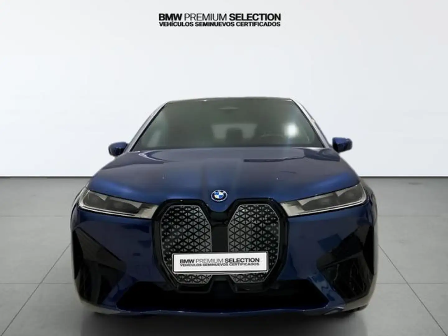 BMW iX xDrive 40 Azul - 1