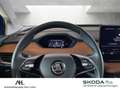 Skoda Enyaq 60 eco Suite LED Navi ACC Wärmepumpe Leder Kessy Blau - thumbnail 19