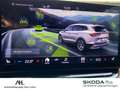 Skoda Enyaq 60 eco Suite LED Navi ACC Wärmepumpe Leder Kessy Blau - thumbnail 27