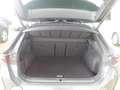 CUPRA Formentor 2.0 TDI 4Drive DSG NAVI VOLL LED RFK S Grau - thumbnail 9