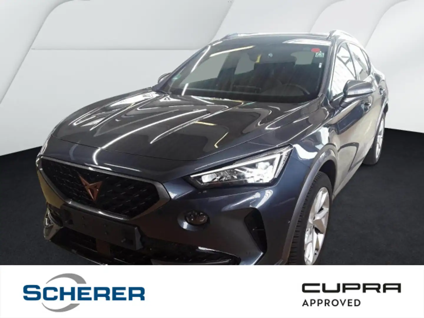 CUPRA Formentor 2.0 TDI 4Drive DSG NAVI VOLL LED RFK S Grau - 1
