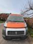 Caravans-Wohnm Pössl Roadcar Multijet 130 Orange - thumbnail 3