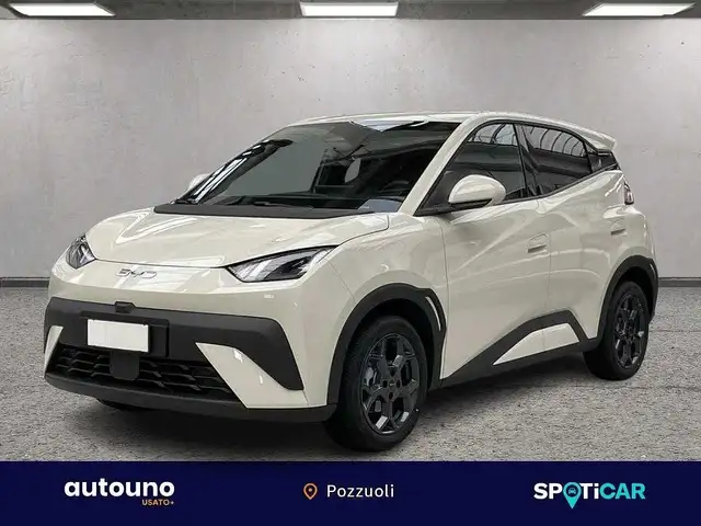 BYD BYD DOLPHIN SURF Comfort