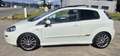 Fiat Punto 1.3 MULTIJET 16V 95 S&S LOUNGE (KIT GRUAU) - thumbnail 7