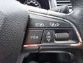 SEAT Ibiza Ibiza 1.0 TSI 1°EIG GOEDE STAAT HANDEL/EXPORT Bleu - thumbnail 18