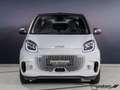 smart forTwo ForTwo Cabriolet EQ Passion LED/22 kW/DAB/Kamera Weiß - thumbnail 5