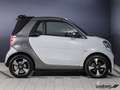 smart forTwo ForTwo Cabriolet EQ Passion LED/22 kW/DAB/Kamera Weiß - thumbnail 4