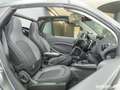 smart forTwo ForTwo Cabriolet EQ Passion LED/22 kW/DAB/Kamera Weiß - thumbnail 12