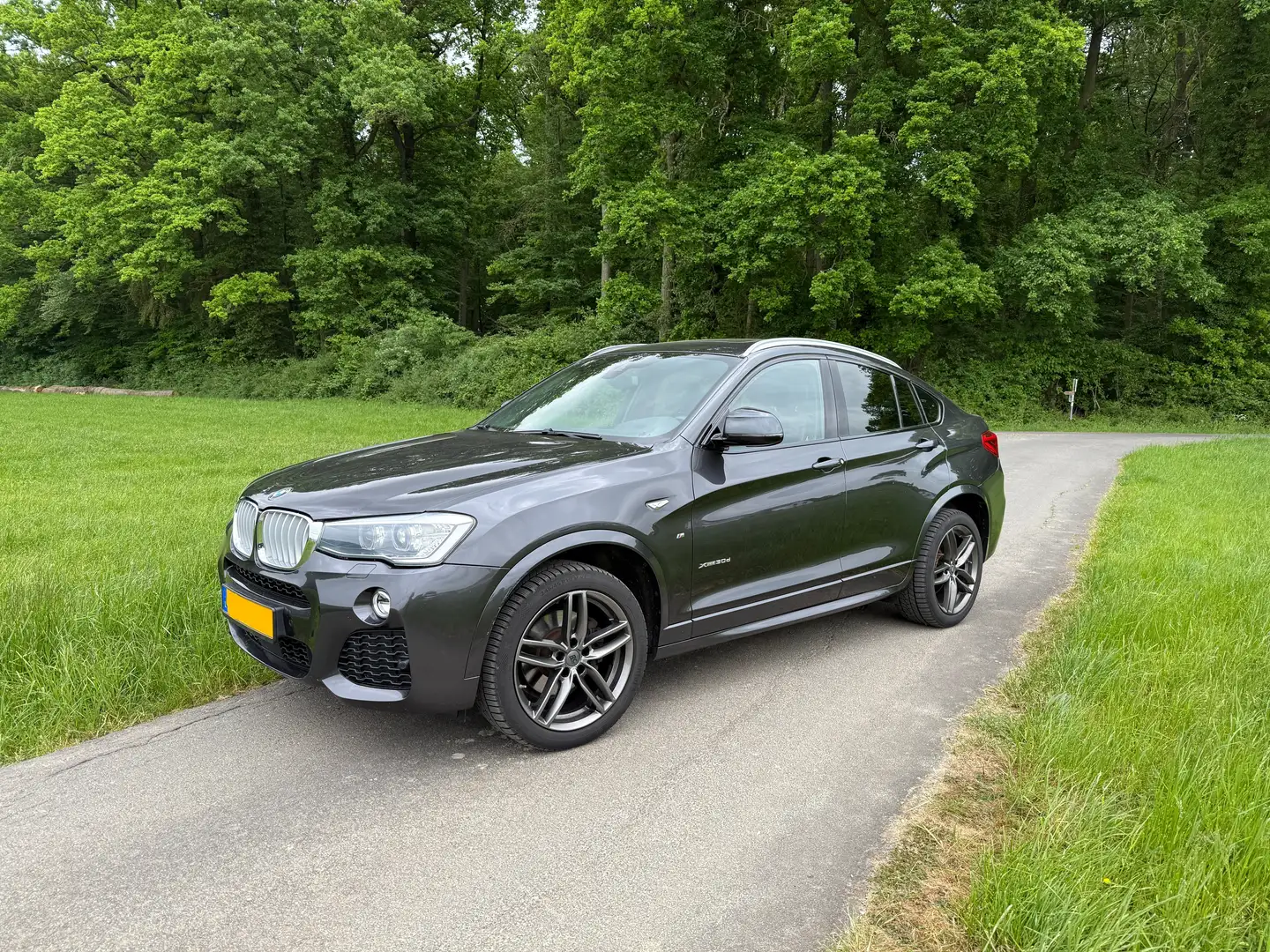 BMW X4 X4 xDrive30d Aut. xLine Black - 1