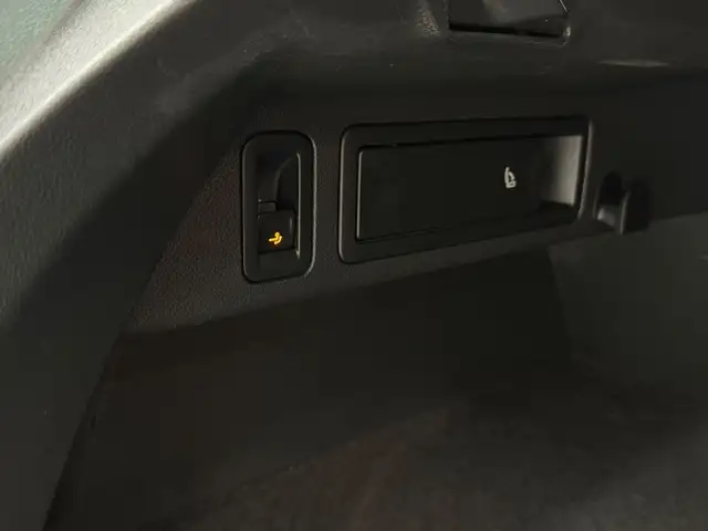 Volkswagen Tiguan view 11