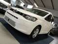 Volkswagen Caddy TDI PIANALE RIBASSATO PEDANA FOCACCIA RAMPA PRONTO Wit - thumbnail 4
