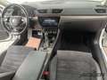 Skoda Superb Combi Scout 4x4 2.0TSI STDHZ AHK VC PANO Wit - thumbnail 10