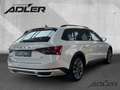Skoda Superb Combi Scout 4x4 2.0TSI STDHZ AHK VC PANO Wit - thumbnail 4