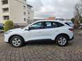 Ford Kuga 2.5 Duratec FHEV COOL&CONNECT Blanco - thumbnail 7