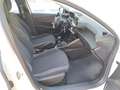 Peugeot 208 PureTech Allure - AZIENDALE - MINI RATA Gris - thumbnail 20