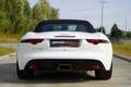 Jaguar F-Type Cabriolet | Sportuitlaat | Spoiler Weiß - thumbnail 16