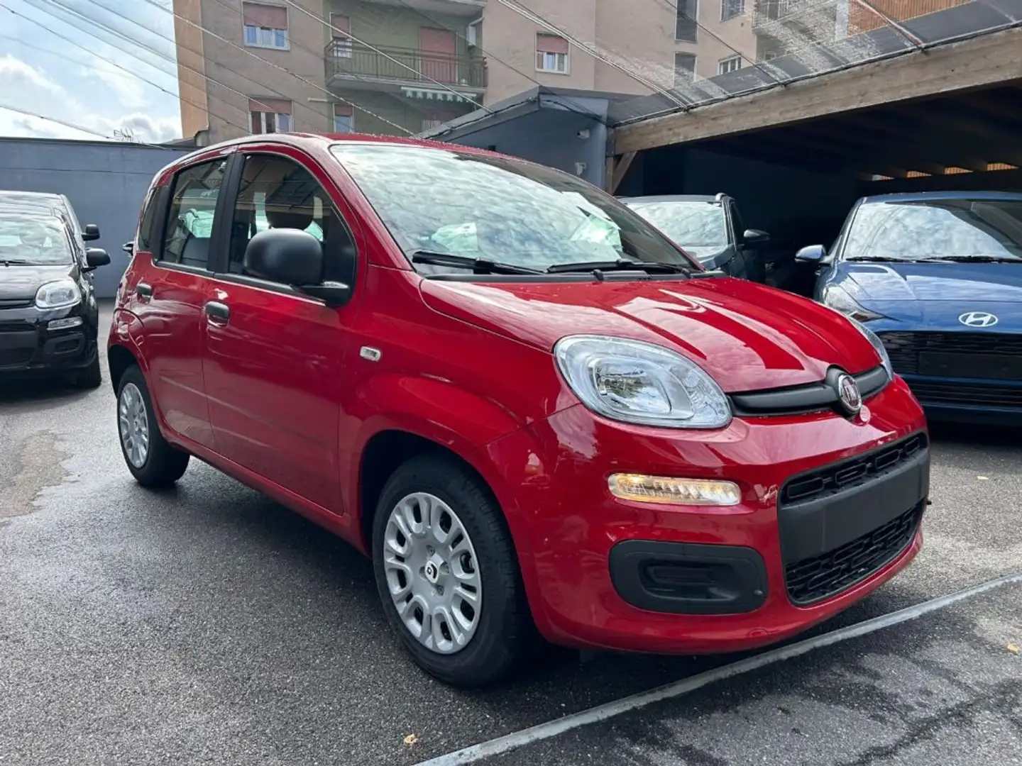 Fiat Panda 1.0 FireFly S&S *PREZZO PROMO* Rouge - 2