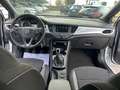 Opel Astra Astra V 2020 5p 1.5 cdti Business Elegance s Bianco - thumbnail 10
