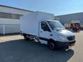 Mercedes-Benz Sprinter 513 2.2 CDI Wit - thumbnail 5