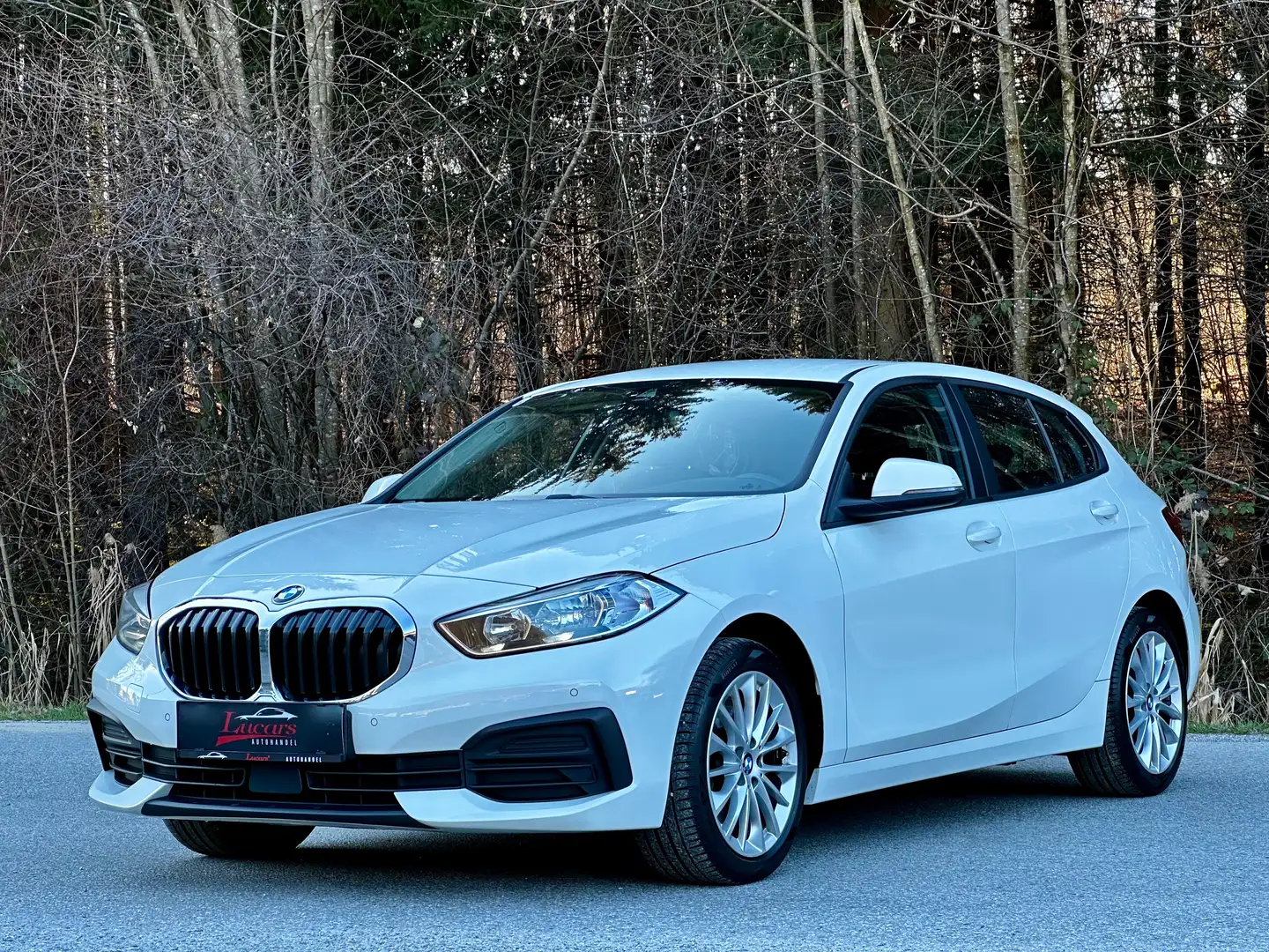 BMW 120 d xDrive Advantage Aut. *NAVI*SPUR*ALLRAD*LED*TOP* Weiß - 1