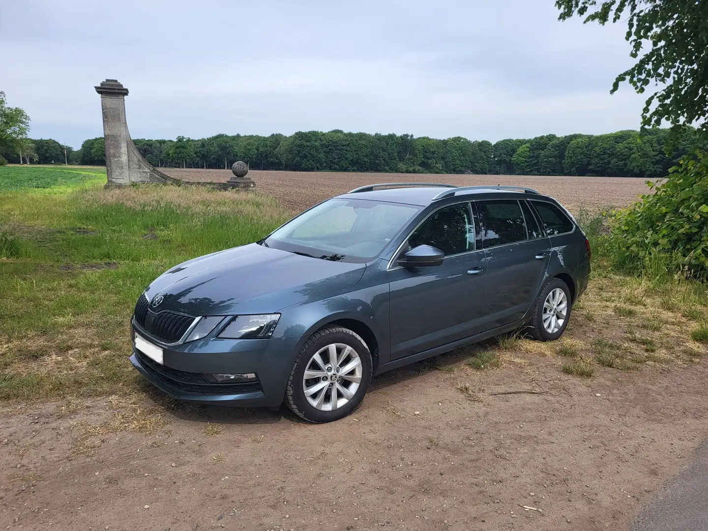 Skoda Octavia Octavia Combi 1.5 TSI G-TEC DSG Ambition Bleu - 1