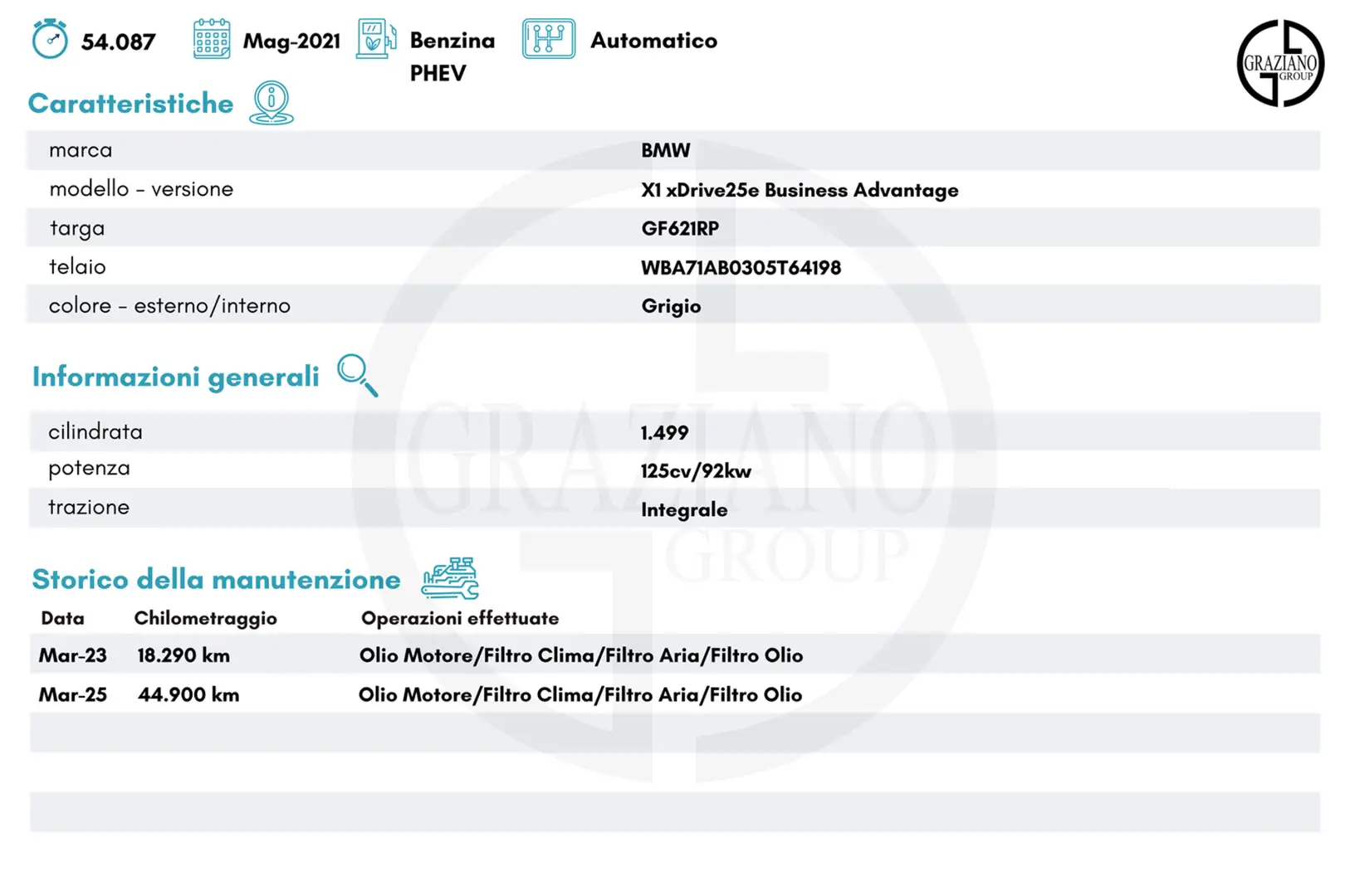 BMW X1 xDrive25e Business Advantage PHEV Gris - 2