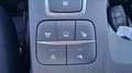 Ford Kuga 1.5 ecoblue ST-Line X 2wd 120cv auto Bleu - thumbnail 13