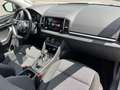 Skoda Karoq 2.0 TDI DSG Ambition Clever 163€ mm. 20% Anzahlu Grau - thumbnail 12