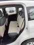 Fiat Panda 0.9 t.air t. Natural power Easy 80cv E5+ - thumbnail 4