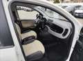 Fiat Panda 0.9 t.air t. Natural power Easy 80cv E5+ - thumbnail 5