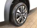 Peugeot 2008 1,2 PureTech 110 S&S Allu Weiß - thumbnail 3