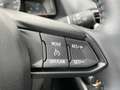 Mazda 2 1.5 e-SkyActiv-G 90 Homura | FACELIFT | APPLE CARP Brown - thumbnail 14