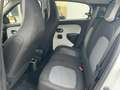 Renault Twingo Liberty Blanc - thumbnail 15