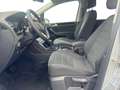 Volkswagen Touran Highline 1.5 TSI DSG / 7 Sitze+ACC+PDC+SHZ+EL. ... - thumbnail 12