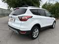 Ford Kuga 1,5TDCi Titanium Aut. AHK Kamera CarPlay Keyless Weiß - thumbnail 3