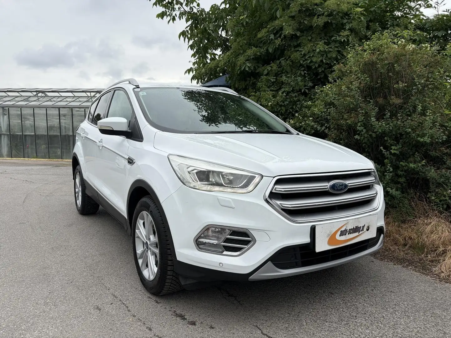 Ford Kuga 1,5TDCi Titanium Aut. AHK Kamera CarPlay Keyless Weiß - 1