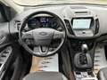 Ford Kuga 1,5TDCi Titanium Aut. AHK Kamera CarPlay Keyless Weiß - thumbnail 8