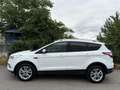 Ford Kuga 1,5TDCi Titanium Aut. AHK Kamera CarPlay Keyless Weiß - thumbnail 5