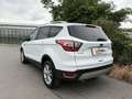 Ford Kuga 1,5TDCi Titanium Aut. AHK Kamera CarPlay Keyless Weiß - thumbnail 6